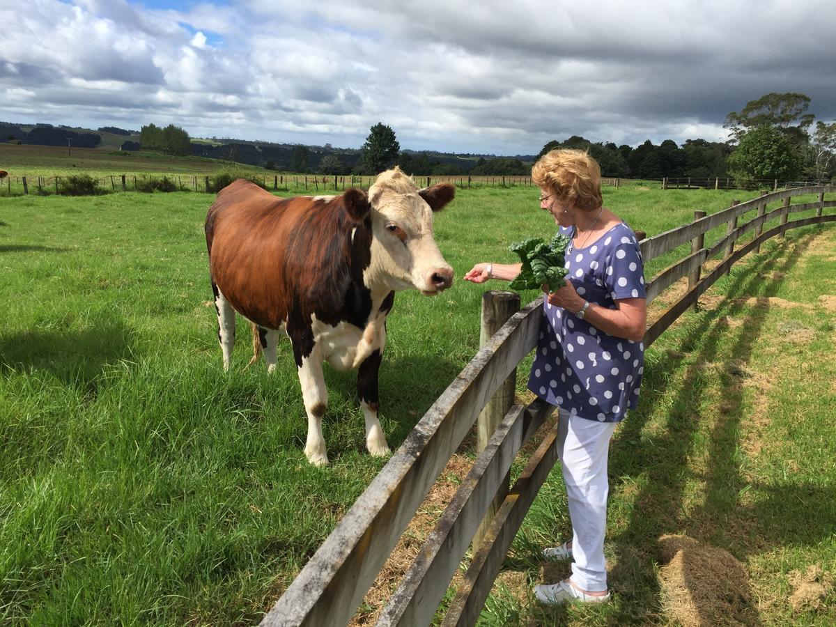 Country House B&B Waimate North ภายนอก รูปภาพ